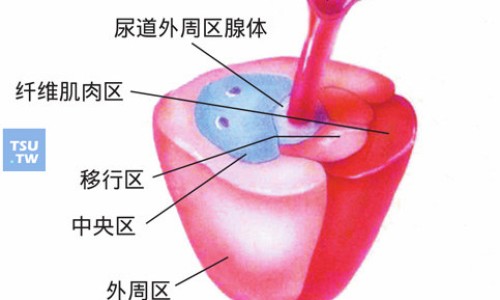 权威吃什么水果对眼睛好还能提高视力平台,分享专业吃什么水果降血压最快最好方法知识_吃什么水果去脂肪最快网