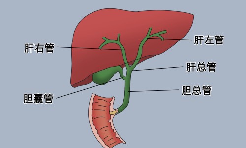 权威吃什么水果对眼睛好还能提高视力平台,分享专业吃什么水果降血压最快最好方法知识_吃什么水果去脂肪最快网